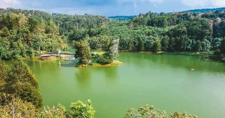 Laguna rodeada de bosque en el Parque Arví